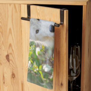 Linge De Cuisine Gray Wolf, Canadian Animal Photography