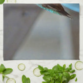 Linge De Cuisine Green ruby little hummingbird (Plié)