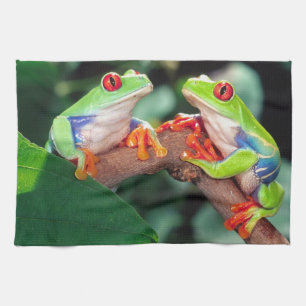 Linge De Cuisine Grenouille aux yeux rouges, Agalychinis callidryas