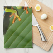 Linge De Cuisine Grenouille verte à l'oeil rouge (Quart Plié)