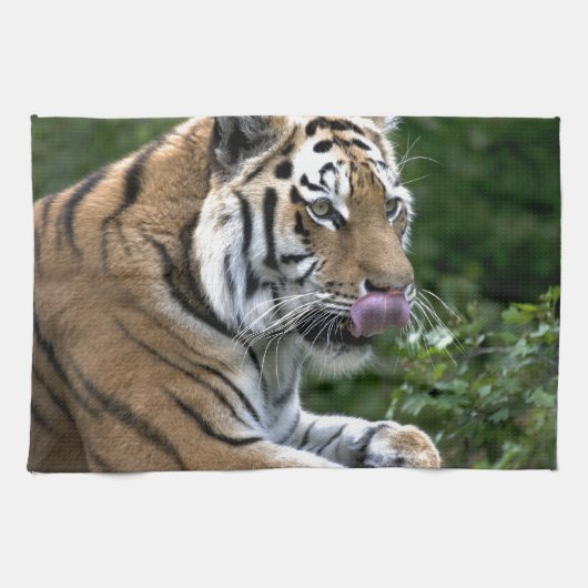 Linge De Cuisine Grooming Tiger (Horizontal)