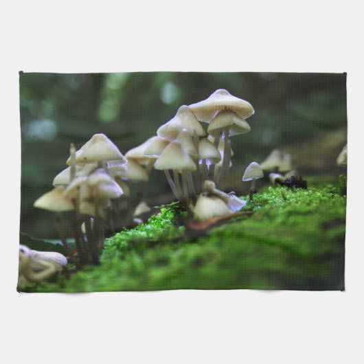 Linge De Cuisine Groupe de champignons (Horizontal)