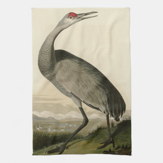 Linge De Cuisine Grue de Sandhill d'Audubon's Birds of America (Vertical)