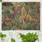 Linge De Cuisine Haeckel (Plié)