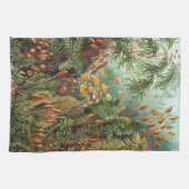 Linge De Cuisine Haeckel (Horizontal)