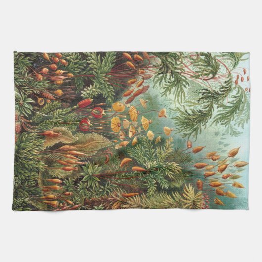 Linge De Cuisine Haeckel (Horizontal)
