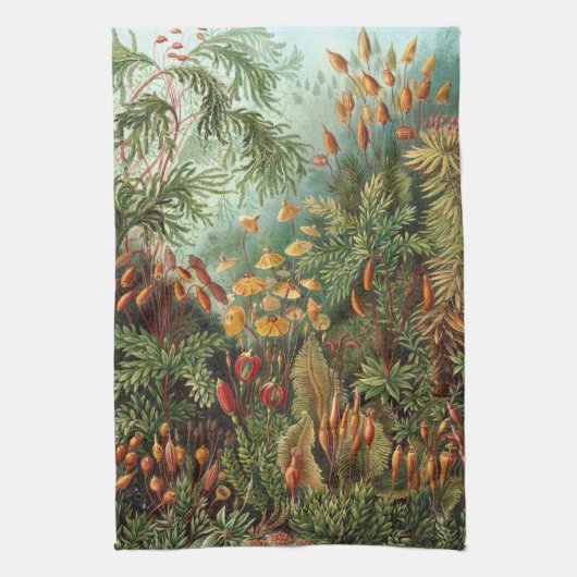 Linge De Cuisine Haeckel (Vertical)