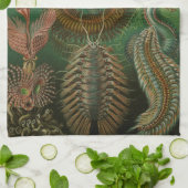 Linge De Cuisine Haeckel Bugs (Plié)