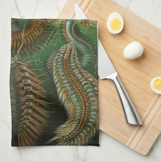 Linge De Cuisine Haeckel Bugs (Quart Plié)