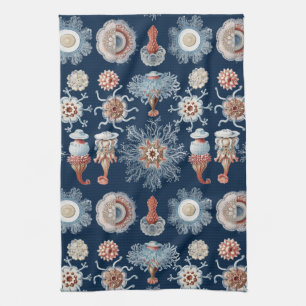 Linge De Cuisine Haeckel Siphonophorae Art de la Nature Gravure Anc