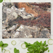 LINGE DE CUISINE HARE (Plié)