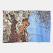 LINGE DE CUISINE HARE (Horizontal)