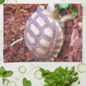 Linge De Cuisine Hatchlings de tortue de Sulcata (Plié)