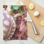 Linge De Cuisine Hatchlings de tortue de Sulcata (Quart Plié)