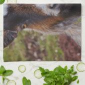 Linge De Cuisine Haut étroit de chèvre (Plié)