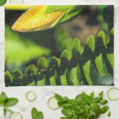 Linge De Cuisine Hibiscus (Plié)