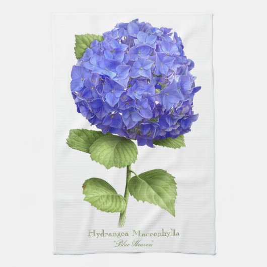 Linge De Cuisine Hortensia Bleu (Vertical)