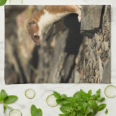 Linge De Cuisine Huile de chasse (Plié)