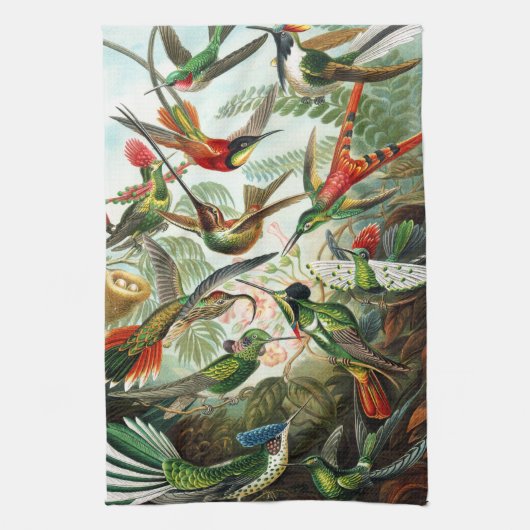 Linge De Cuisine Hummingbirds par Ernst Haeckel (Vertical)