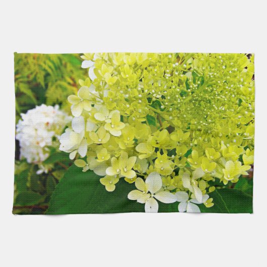Linge De Cuisine Hydrangea Limelight Vert Chartreuse Élégant (Horizontal)