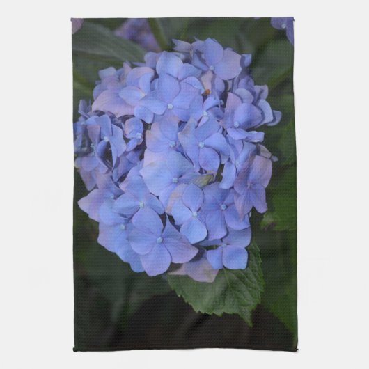 Linge De Cuisine Hydrangea macrophylla violette rustique (Vertical)