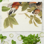 Linge De Cuisine Illustration Audubon American Robin Wildlife Bird (Plié)