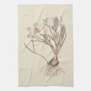 Linge De Cuisine Illustration botanique de crocus d'Écosse