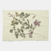Linge De Cuisine Illustration botanique de la violette cornue (Horizontal)