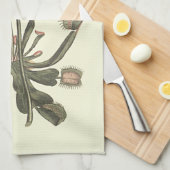 Linge De Cuisine Illustration botanique de Vénus Flytrap (Quart Plié)