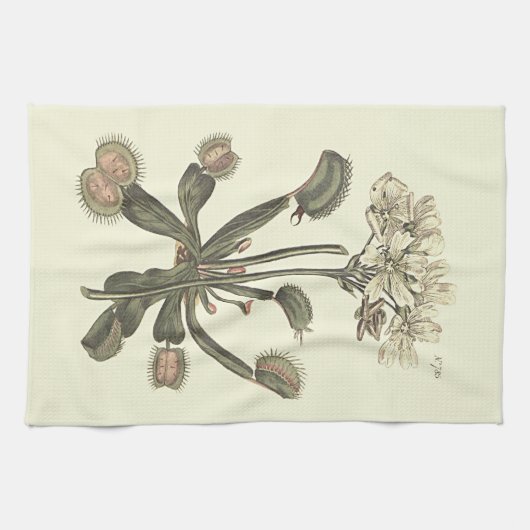 Linge De Cuisine Illustration botanique de Vénus Flytrap (Horizontal)