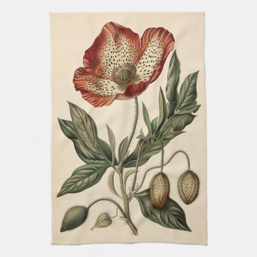 Linge De Cuisine Illustration botanique du pavot vintage (Vertical)