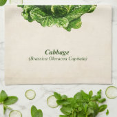 Linge De Cuisine Illustration botanique vintage, choux (Plié)