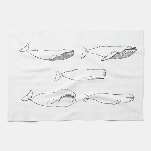 Linge De Cuisine Illustration de baleines (schéma) (Horizontal)
