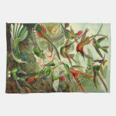 Linge De Cuisine Illustration de colibri d'Ernst Haeckel (Horizontal)