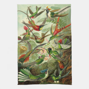 Linge De Cuisine Illustration de colibri d'Ernst Haeckel