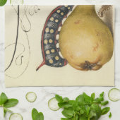 Linge De Cuisine Illustration de l'insecte du fruit du papillon (Plié)