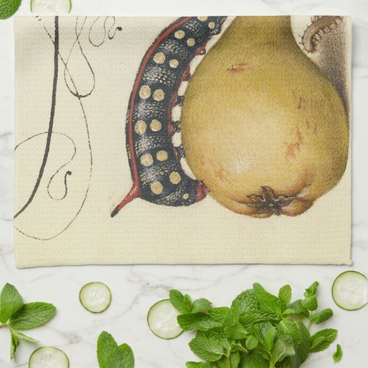 Linge De Cuisine Illustration de l'insecte du fruit du papillon (Plié)