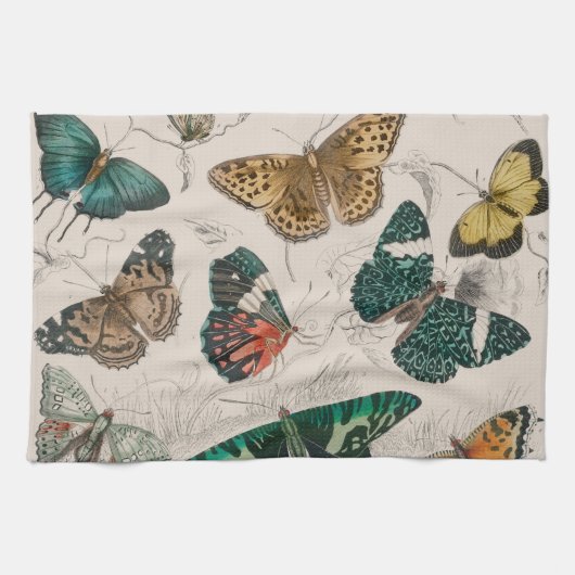Linge De Cuisine Illustration de papillon antique : 1820 Orfèvre (Horizontal)