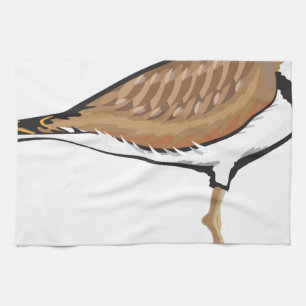 Linge De Cuisine Illustration de vecteur d'oiseau de Killdeer
