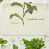 Linge De Cuisine Illustration de Volubilis Bleu (Plié)