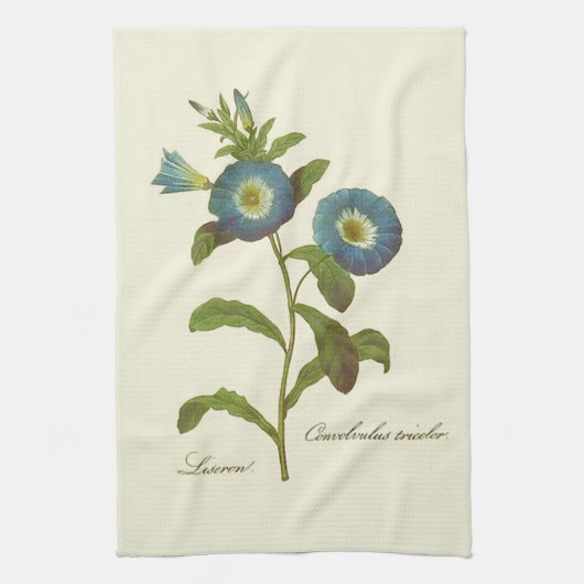 Linge De Cuisine Illustration de Volubilis Bleu (Vertical)