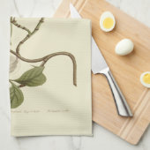 Linge De Cuisine Illustration des fleurs de bois de chien blanc (Quart Plié)