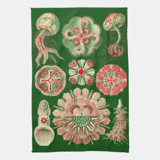 Linge De Cuisine Illustration marine de méduses de Haeckel rouge et (Vertical)