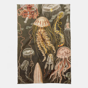 Linge De Cuisine Illustration vintage de méduses d'antiquité de