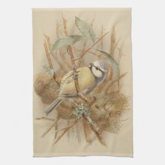 Linge De Cuisine Illustration vintage de Mésange bleue (Vertical)