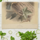 Linge De Cuisine Illustration vintage de Nuthatch (Plié)