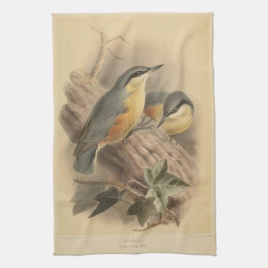 Linge De Cuisine Illustration vintage de Nuthatch (Vertical)