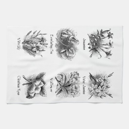 Linge De Cuisine Illustrations botaniques (Horizontal)