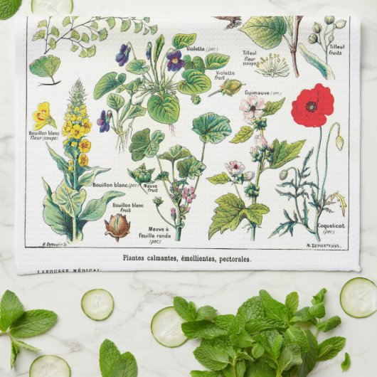 Linge De Cuisine Illustrations botaniques (Plié)