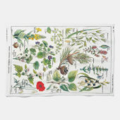 Linge De Cuisine Illustrations botaniques (Horizontal)
